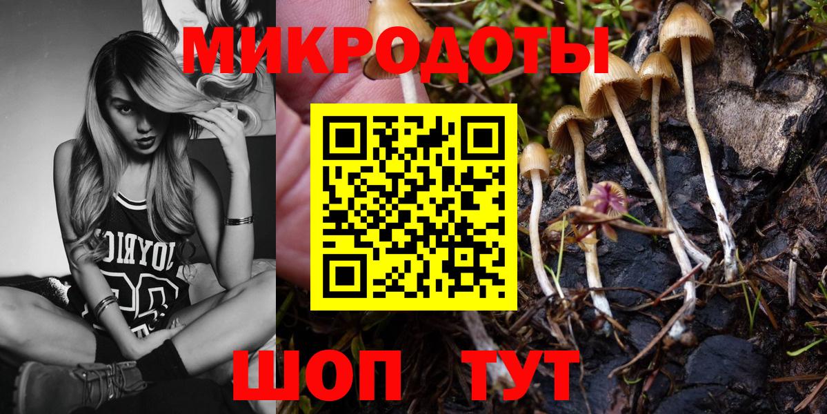 Галлюциногенные грибы Psilocybine cubensis  Вход с VPN  Шали 