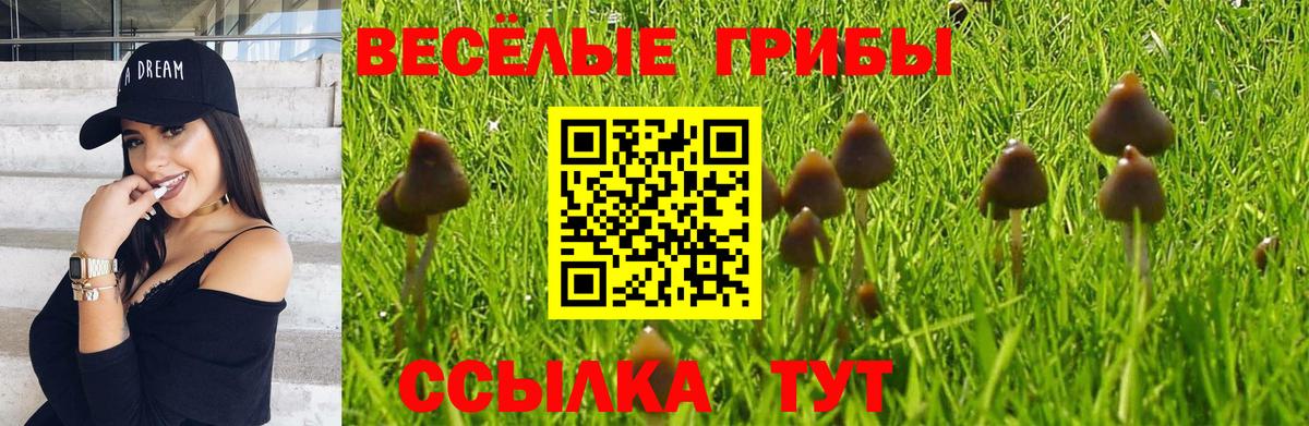 Галлюциногенные грибы MAGIC MUSHROOMS Шали